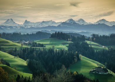 Emmental Switzerland