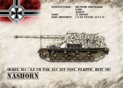 Nashorn