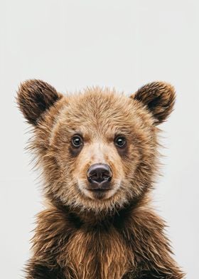 Cute Baby Bear