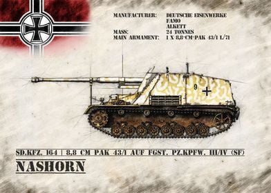 Nashorn