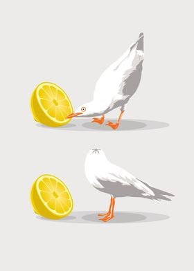 Seagull and lemon