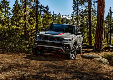 Jeep Compass Trailhawk 