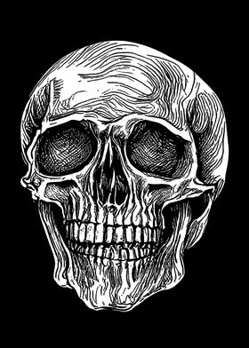 Skull Noir Line Art