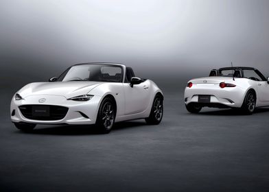 Mazda Roadster 990S