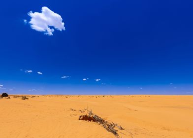 Sahara desert in Tunisia
