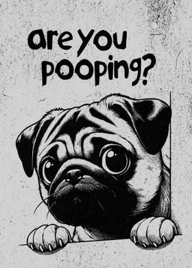 ARE YOU POOPING PUG