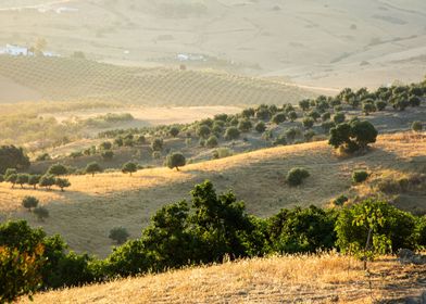 Spanish Countryside