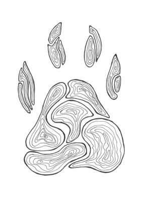 Pawprint of a cute beast