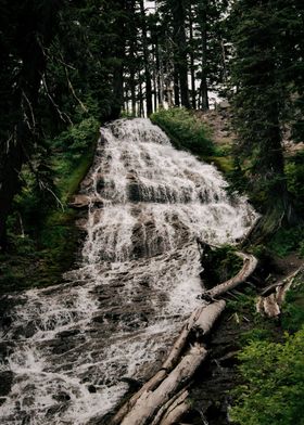 Forest Waterfall