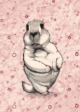 Sweet Pink Groundhog