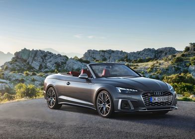 Audi S5 Cabriolet TFSI 