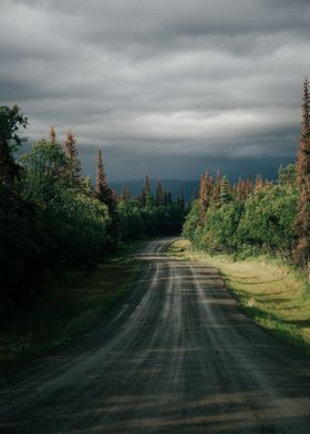 Stormy Forest Road