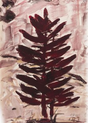 Red brown fir