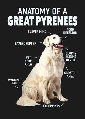 Great pyrenees