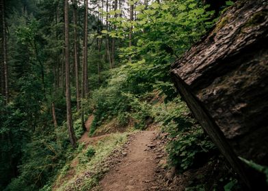 Green Hiking Trail