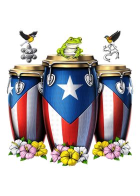 Puerto Rico Boricua Drums