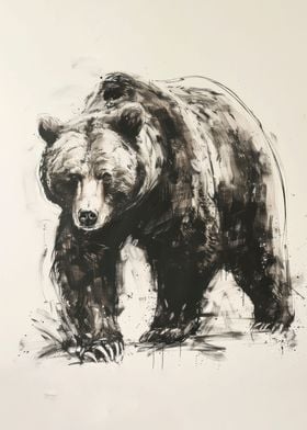 Bear In Charcoal Sketch