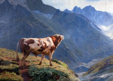 Bull in the Alps