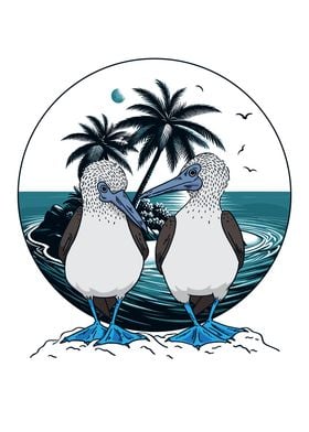 Bluefooted Booby