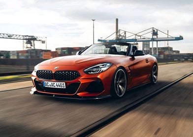 Bmw Z4 ACS4