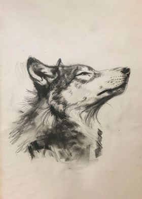 Wolf in Charcoal Art