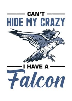 Falcon Training Hawk Eagle