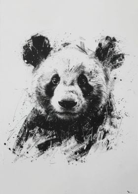 Panda Head In Charcoal 