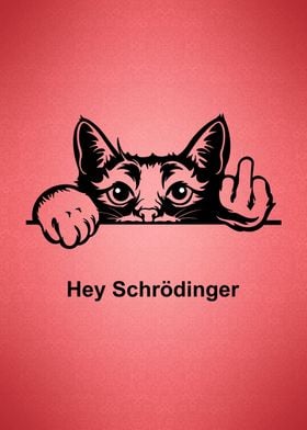 Schrodinger Cat funny