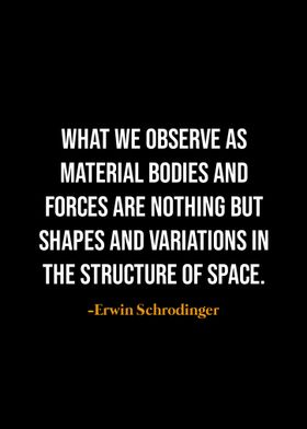 Erwin Schrodinger quotes 