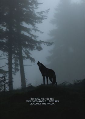Wolf Quotes