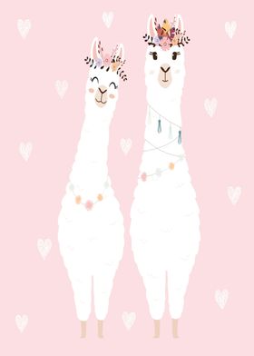 Cute llamas couple