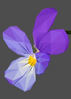 Flower Violet Abstract