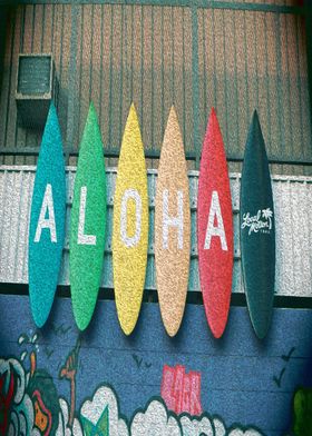 aloha Hawaii