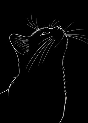 black cat silhouette