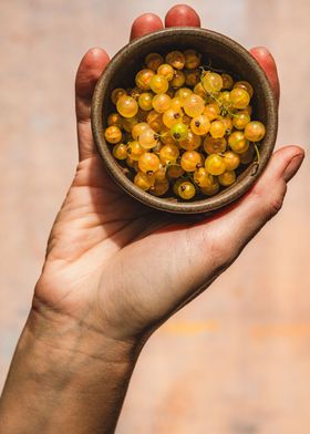 White Currants