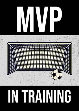 MVP SOCCER NET