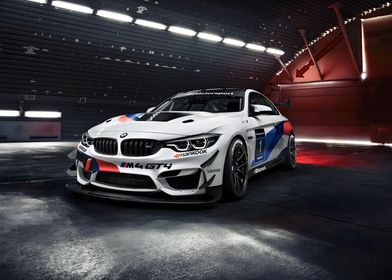 Bmw M4 GT4