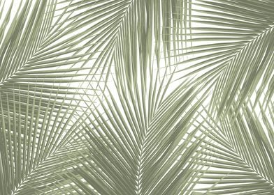 Green Palm Leaves Finesse 