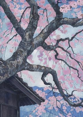 Sakura Japan Painting