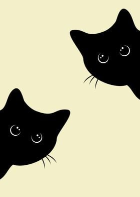 Two Black Cats 2