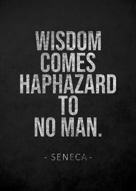 Seneca Stoicism Quotes