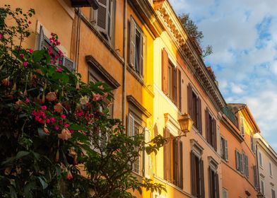 Trastevere colorful houses