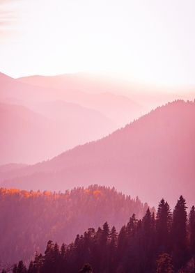 Forest Covered Mountains