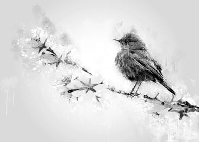 Bird on Branch flowers BW