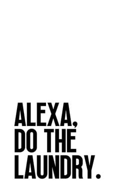 Alexa Do The Laundry