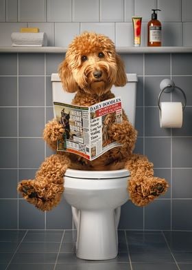 Goldendoodle on the Toilet