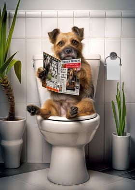 Border Terrier on Toilet