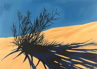 Desert plant shadows on sa