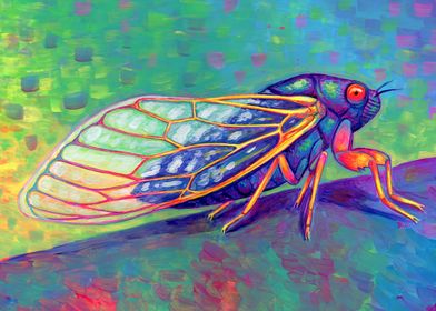 Magic Cicada