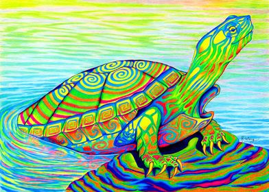 Painted Turtle